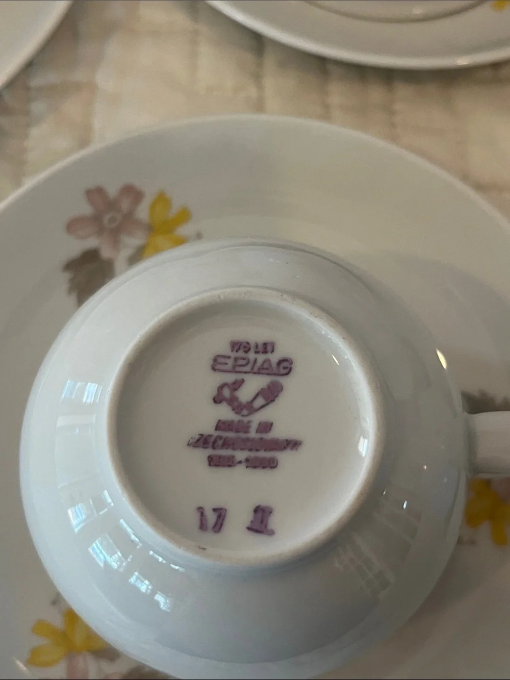 Authentic Vintage Czechoslovakian 15 piece tea set